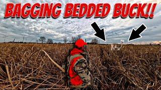 Michigan Deer Hunting CATAIL SWAMP | BUMP and DUMP Bedded Swamp Buck!!