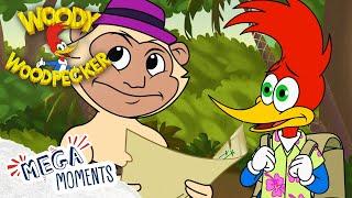 Woody the Treasure Hunter!  | Woody Woodpecker | Compilation | Mega Moments