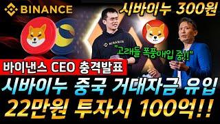 [ 시바이누 코인 ] 바이낸스 시바이누에게 역대급 투자 한다!! 고래들 폭풍매입 중!! 100억 부자로의 도약!! #비트코인 #시바이누코인 #도지코인 #이더리움 #리플