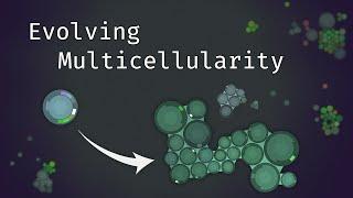 Simulating an Evolving Microcosmos | The Path to Multicellularity