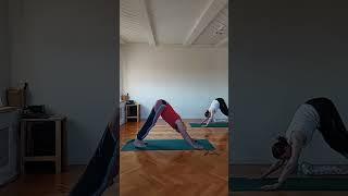 Практика YogaFlow System и йога-нидра с Константином Харьковским.