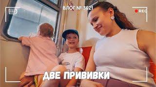 Поставили две прививки | Успеть все! | Выводим муравьев  -  ВЛОГ №3621 - 04.06.25