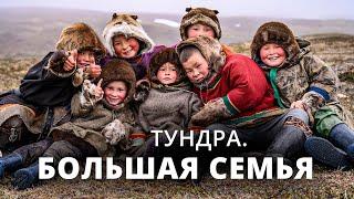 Tundra. The big family | Documentary