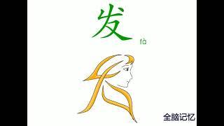 幼儿识字-发 Learning Chinese Character-hair