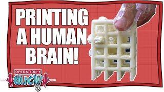 Printing a Human Brain From Scratch! | Operation Ouch | Nugget