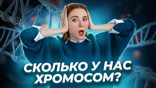 Все о хромосоме для ЕГЭ по биологии | Умскул