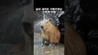남의 새끼도 거둬 키우는 친화력 만렙 카피바라