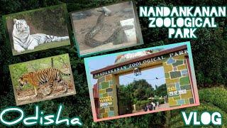 Nandankanan Chiriakhana|Nandankanan zoo| White tiger| Odisha Nandankanan zoological park