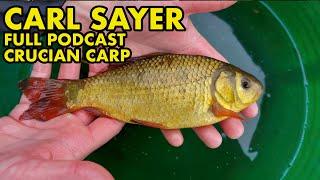 Crucian Carp  The Facts ft Carl Sayer #151