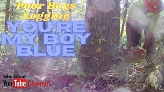 Poor Boys Logging - You're my boy Blue