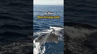 Maui Whale-Watching Guide: Where to Watch from Shore and Tours #hawaiitravelguide #whales #maui