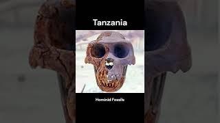 The United Republic of Tanzania