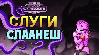 Слуги Слаанеша (Total War Warhammer 3) | Лор (Бэк) Вархаммер - (армия и демоны Хаоса)