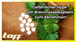 Hype um Brennnesselkapseln! Wie gefährlich sind sie & was stimmt an dem Gerücht?