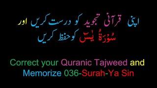 Memorize 036-Surah Al-Yaseen (Complete) - (10 times repetition)