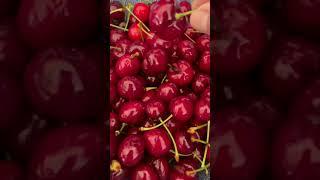 Organic Cherries || Organic Fruit || Best Medicine for Gout || GAMO Production