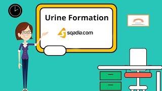 Urine Formation | Physiology Student Animation | Medical V-Learning | sqadia.com