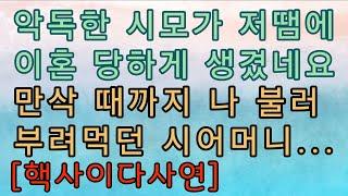 [사이다사연] 시어머니가 저 때문에 시아버지에게 이혼 당하게 생겼어요. 사이다썰 미즈넷사연 응징사연 반전사연 참교육사연 라디오사연 핵사이다사연 레전드사연