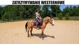 Kurs jazdy western - jak nauczyć konia zatrzymywać się na "Whoa"?