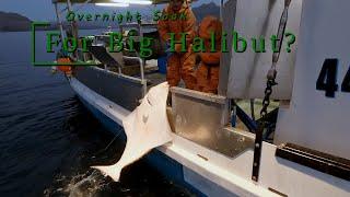 Overnight Soak for the Lunkers!? | Busting Some Big Halibut!