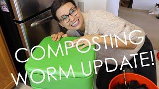 COMPOSTING WORM UPDATE - HARVESTING, MAINTENANCE, ETC.