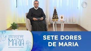 A 4ª e 5ª dor de Maria - O encontro com Jesus para a morte e a morte na Cruz