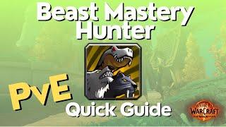 BM Hunter The War Within Guide - TWW Season 1