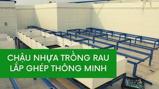 Chậu trồng rau - lắp ghép thông minh