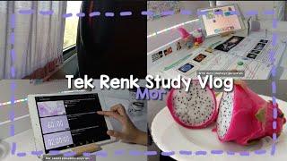 Tek Renk Study Vlog | 7. Sınıf Ders Çalışma Günlüğüm