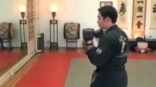 World Martial Arts Center-Beginner Basic hand combinations 1-5