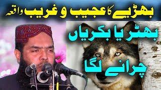 Amazing Story of a Wolf (Punjabi) -- QIA ShortClips