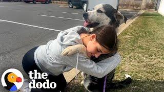 Watch Senior Dog Who'd Been Surrendered Twice Meet His Person | The Dodo