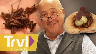 Going "Tex-Next" in San Antonio | Bizarre Foods with Andrew Zimmern | Travel Channel