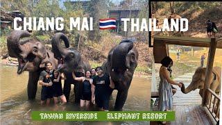 Elephant Resort in Chiang Mai Thailand|Tawan Riverside |Elephant Friends|@rochellaspiras