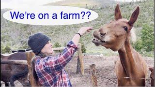 The Bad Back Packers visit the Kind Care Farm in Colorado