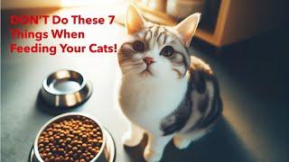 DON’T Do These 7 Things When Feeding Your Cats!