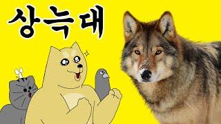 [Beast Friends] Wolf