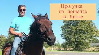 Подарок на день рождение, прогулка на лошадях #lietuva #lithuania #литва #arklys #youtube