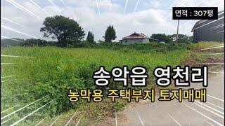 [매물번호:3698]당진 토지매매당진시 송악읍 영천리 계획관리지역 주택부지 농막용 307평 / 평당 28만원 #당진땅매매 #당진시