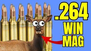 .264 Winchester Magnum for Elk??? + Bullet Drop Explained