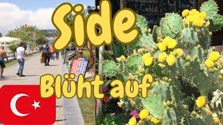 Side der Mai macht alles bunt