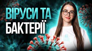 Розбираємось з особливостями мікроскопічних паразитів: неклітинних та клітинних #turbozno #біологія