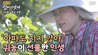 (살어리랏다)(316회) 신바람 열혈농부 은주 씨의 전성시대 Koreatv, village life, farming, rice (충남 보령)