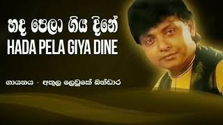 හද පෙළා ගිය දිනේ | HADA PELA GIYA DINE | #hathurusinha#