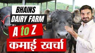 A to Z buffalo dairy income | Best dairy farming in India | dairy farm business | भैंस पालन #dairy