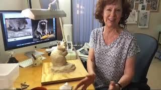 Follow Along! Sculpting a Raccoon in Clay - Part 3