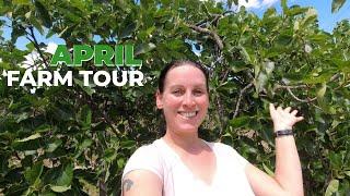 APRIL Farm Tour | Mid-Spring on My Central Portugal Farm #67