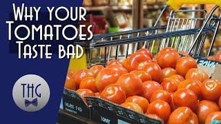 Why your tomatoes are tasteless: Mechanical Harvesting