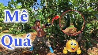 Sáng Sớm Bị Một Cú Lừa Từ Vợ Bé Bỏng || Hải Tí Hon