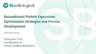 Recombinant Protein Expression Optimization Strategies and Process Development